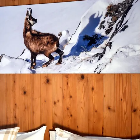 Cabana Szálloda 3*