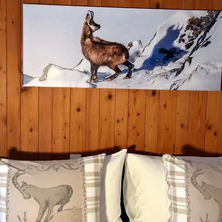 Szálloda Cabana Grindelwald