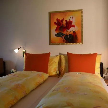 Ξενοδοχείο Hotel Cabana 3*