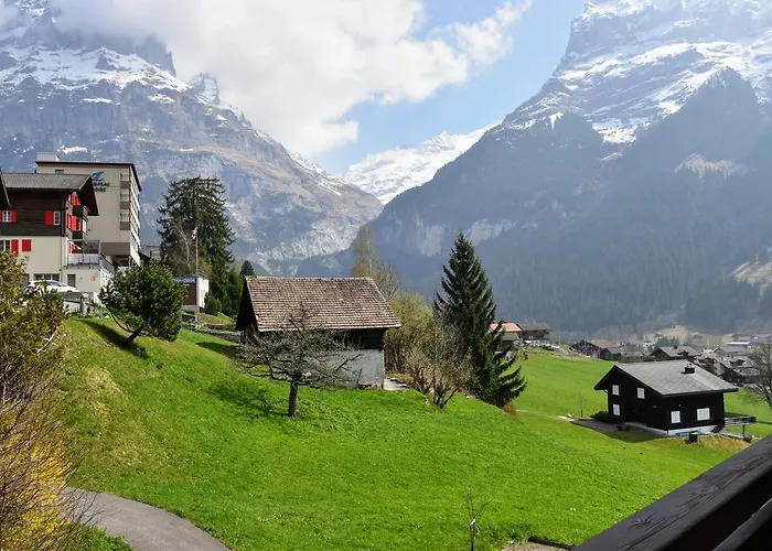 מלון Hotel Cabana גרינדלוולד