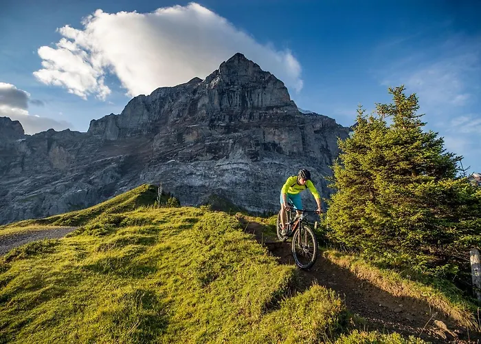 Hotel Hotel Cabana Grindelwald