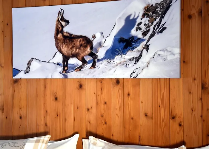 Hotel Cabana Hotel 3*