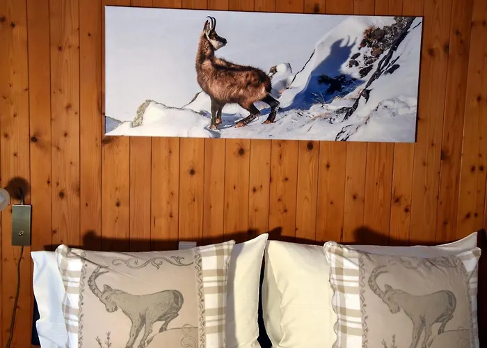 מלון Hotel Cabana גרינדלוולד