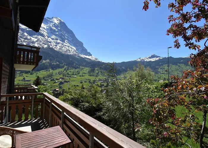 Hotel Cabana מלון