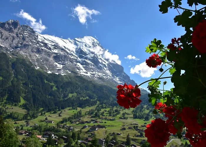 カバナ ホテル 3*