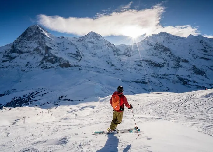 カバナ ホテル グリンデルヴァルト